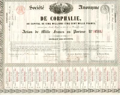 cliquez sur la photo pour l'agrandir