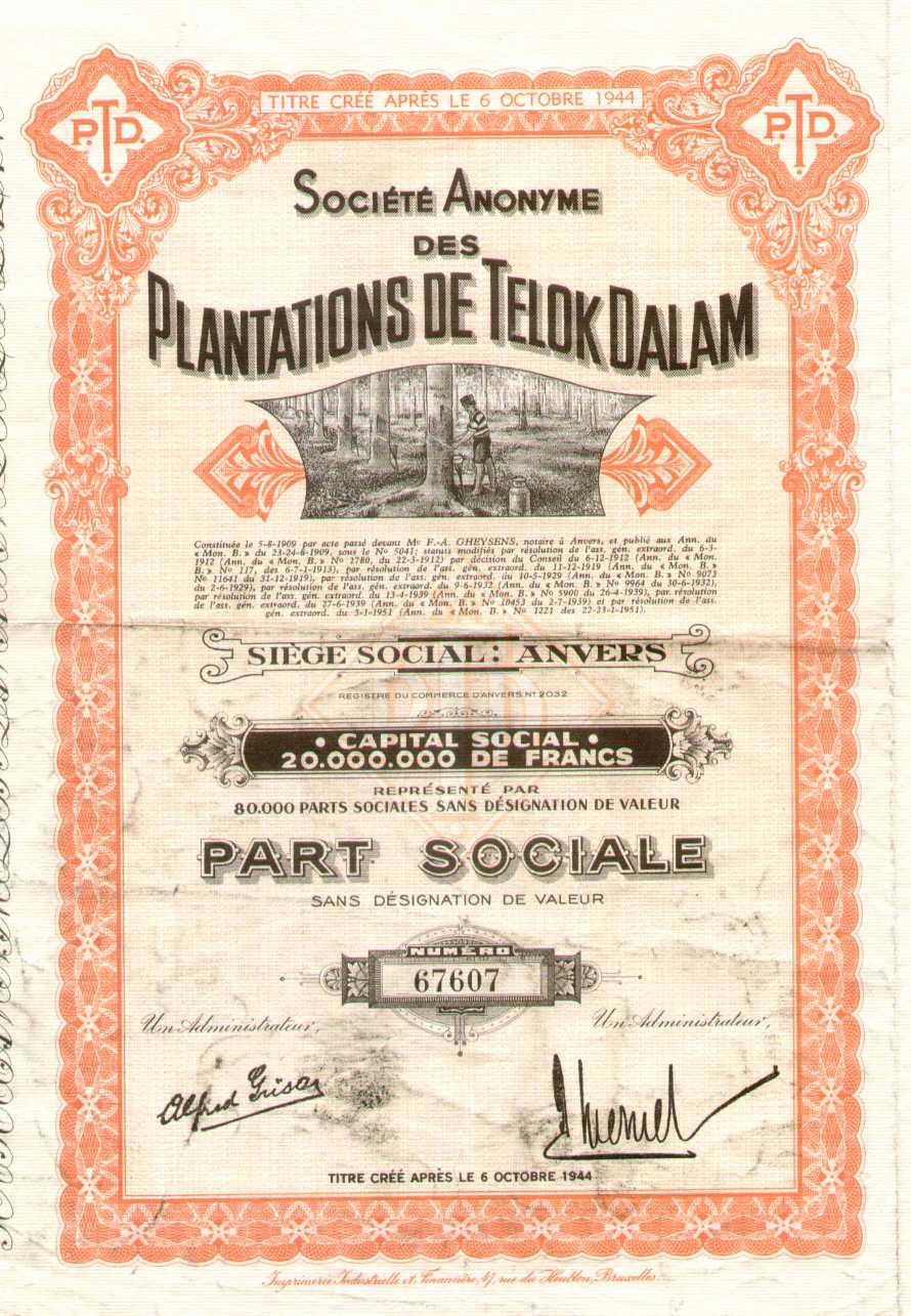 cliquez sur la photo pour l'agrandir